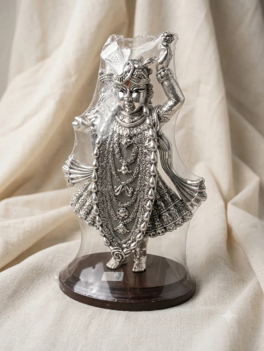 Chasing — shrinathji